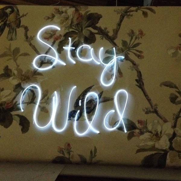 Handmade EL Wire sign,neon sign,stay wild.canvas,wallpaper,birds and florals