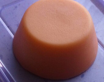 Hair Conditioner Bar, Rosemary/Nettle 75g - super natural conditioning - Herbal Infusions