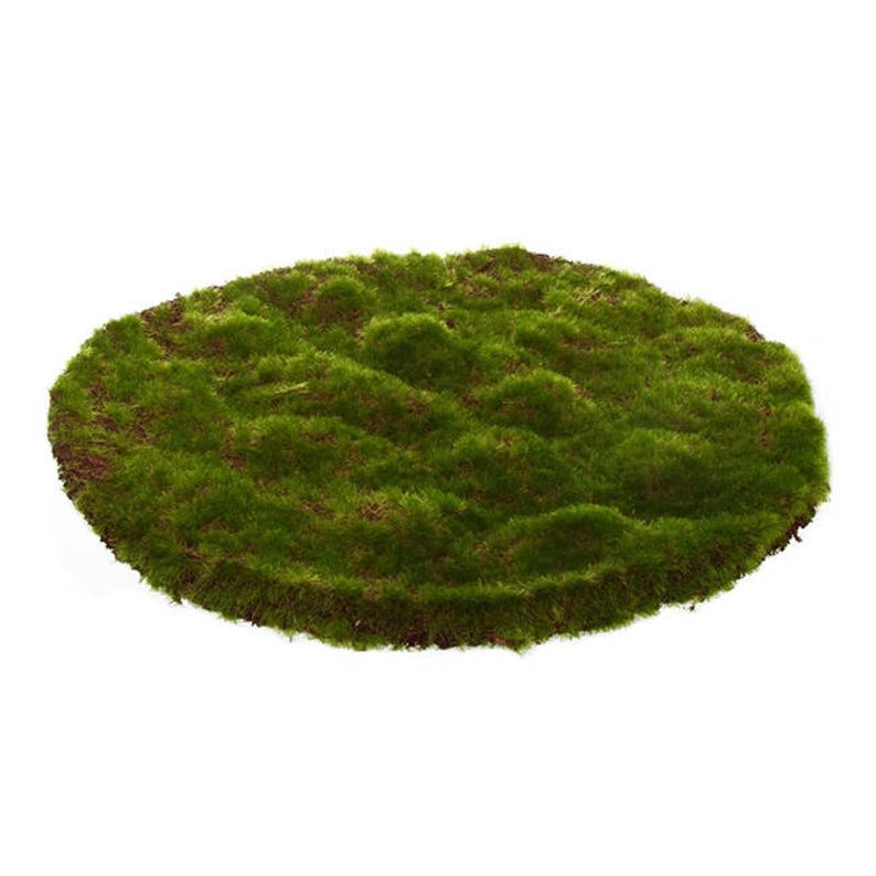 Moss Mat Artificial Grass Round Flat Fake Synthetic Grass 30cm Etsy