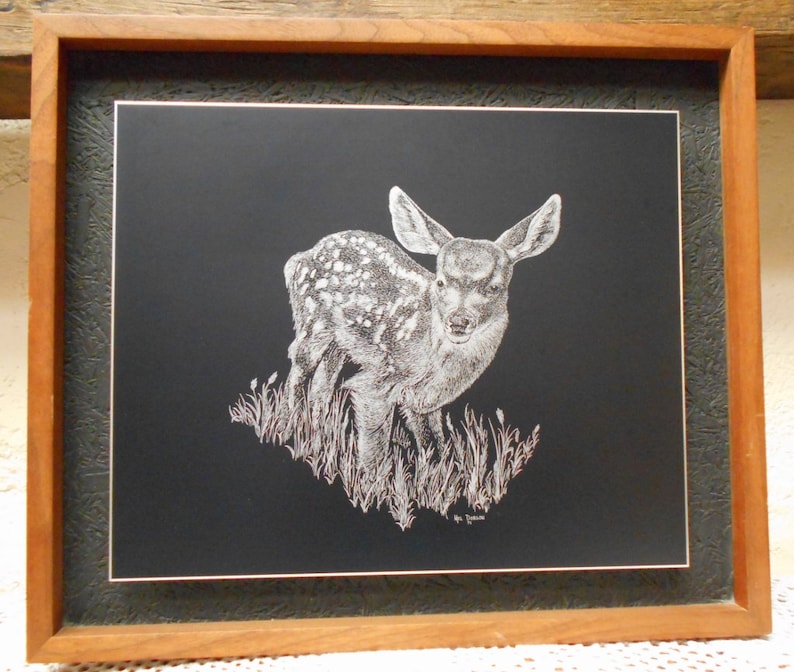 Etching of an Original Mel Dobson Scratchboard Drawing fawn FREE
