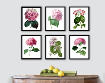 Pink Floral Wall Art Hydrangea Botanical Print set of 6 unframed prints perfect for girls bedroom decor