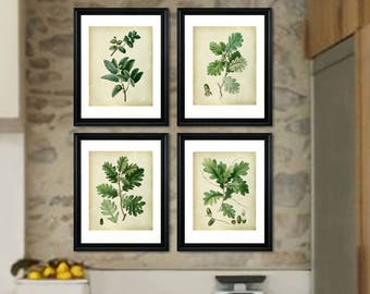 Vintage Oak Leaf Art Prints - Botanical Farmhouse Wall Decor (Set of 4)
