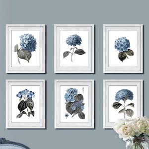 Mother gift from daughter Blue Hydrangea Wall Art Botanical Print Set of 6  Unframed Art Prints