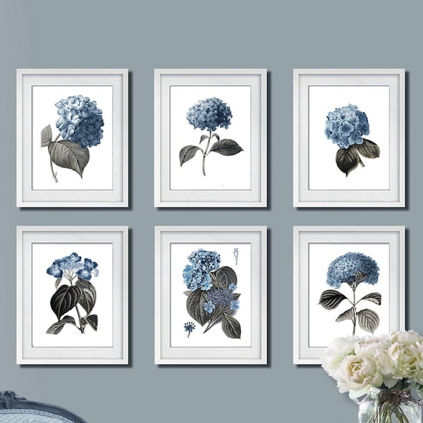 Mother gift from daughter Blue Hydrangea Wall Art Botanical Print Set of 6  Unframed Art Prints