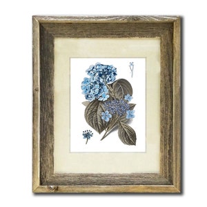 Blue Hydrangea Flower #4 Wall Art Print, Gift for Mom, Gift for Her, Living Room Decor, Vintage Botanical Art, Housewarming gift idea