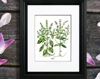 Basilikum Kunstdruck, Küchenkräuter-Wanddeko