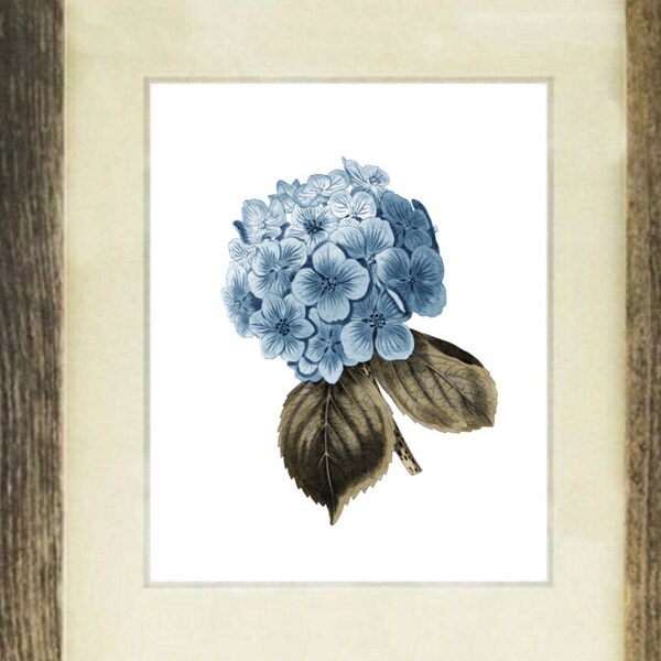 Blue Hydrangea Flower #1 Wall Art Print, Gift for Mom, Gift for Her, Living Room Decor, Vintage Botanical Art, Housewarming gift idea