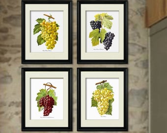 Grapes wall art set of 4 Prints French wine grapes art Gift for her, housewarming gift, vineyard decor