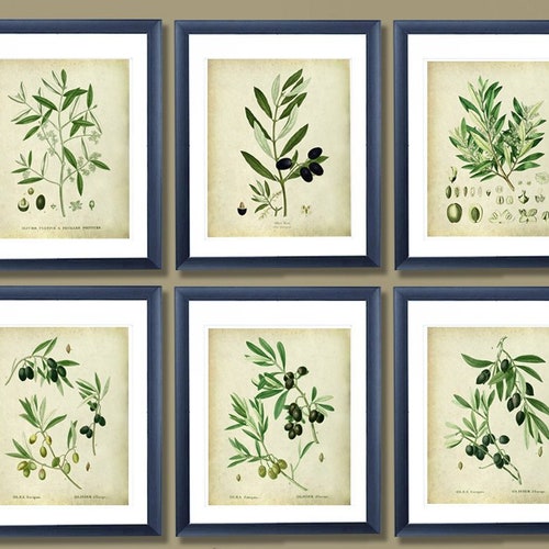 Modern Farmhouse Decor Olive Art Prints Set of 6 Unframed Wall - Etsy