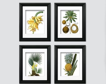 Tropische botanische kunstprints, set van 4, vintage natuurhistorie
