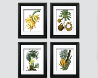 Palm Tree Art set of 4 Unframed Palm Tree Decor includes coconut tree print, banana art print, palm tree print and pineapple print