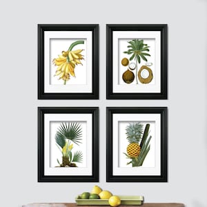 Palm Tree Art set of 4 Unframed Palm Tree Decor includes coconut tree print, banana art print, palm tree print and pineapple print