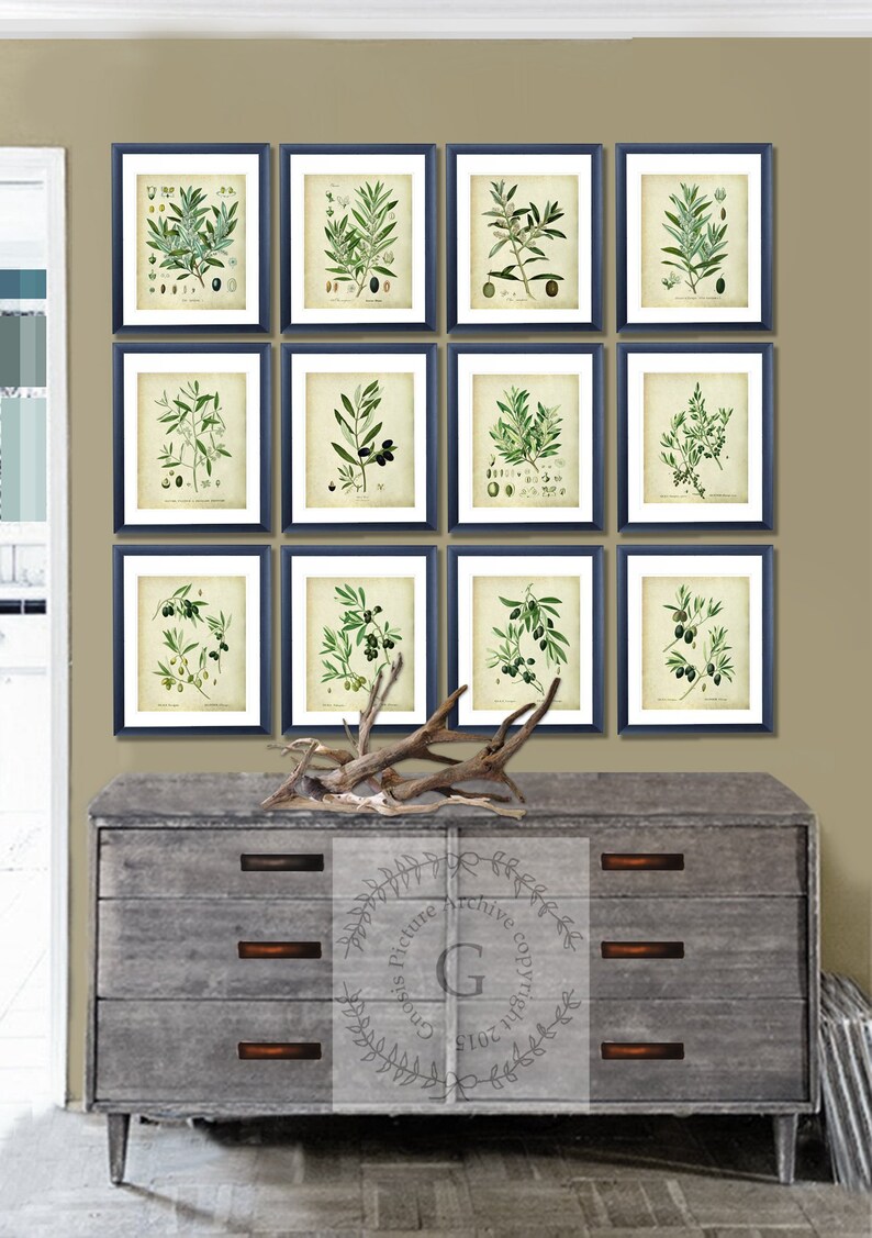 Greenery Focal Wall Decor Olive Branch Prints Set of 12 Etsy