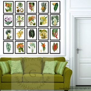 May include: A collage of 18 vintage botanical illustrations featuring tropical plants and flowers. The illustrations are framed in black and arranged in a grid pattern on a white wall. The images include a pineapple, banana, palm tree, orchid, and other tropical plants.
