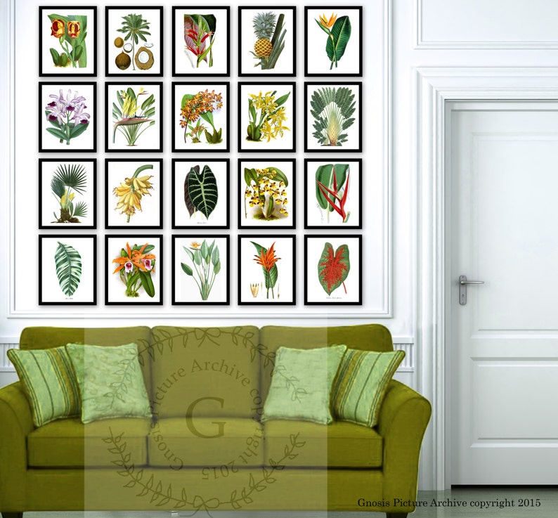 May include: A collage of 18 vintage botanical illustrations featuring tropical plants and flowers. The illustrations are framed in black and arranged in a grid pattern on a white wall. The images include a pineapple, banana, palm tree, orchid, and other tropical plants.