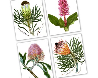 Cottagecore Aesthetics Wall Decor set of 4 Unframed Botanical Art Prints Mothers Day Gift