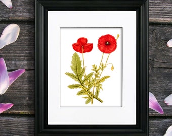Red Poppy Botanical Print, Vintage Floral Wall Art