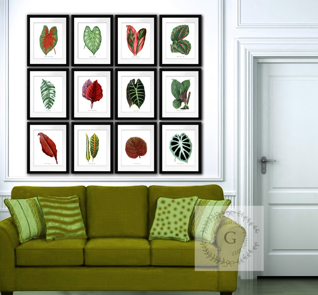 Botanical Prints Set of 12 Large Tropical Leaves Red Green Etsy