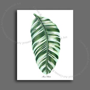 Banana leaf Print unframed art tropical wall decor