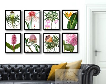 Botanical Prints Set of 8, Exotic Floral Wall Art, Vintage Style