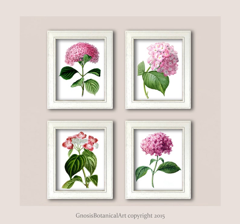 Pink Floral Wall Art Hydrangeas Set of 4 Unframed Wall Art for | Etsy