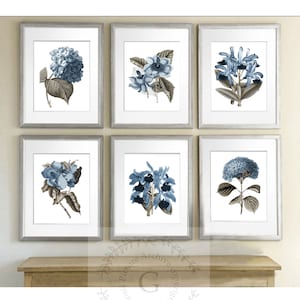 Modern Farmhouse Decor Blue Flower Wall Art Set of 6 Art Botanical Print Blue Hydrangea