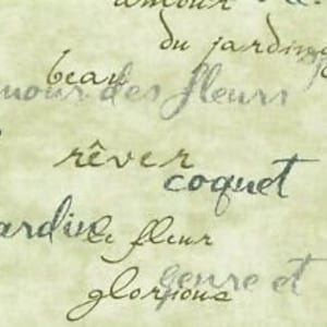 May include: A close-up of a pale green background adorned with delicate cursive script in grey and black. The text features French words like "amour", "rêver", and "coquet", evoking a vintage, romantic feel.