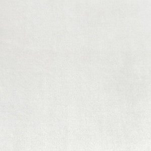 May include: A plain white background.