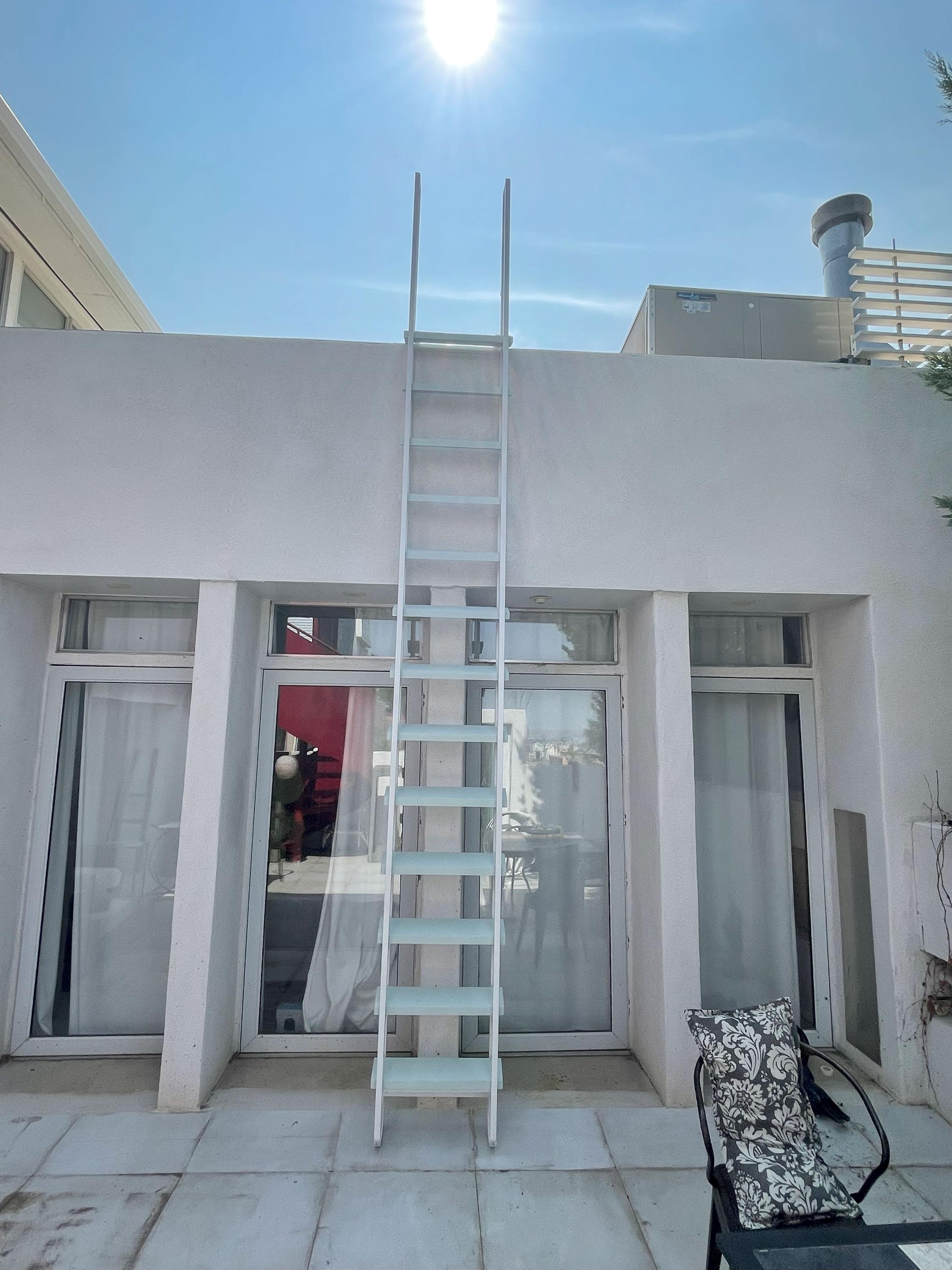 8ft Custom Color Ladder - Retractable - White - Steel & Wood - Fully ...