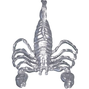 Sterling Silver Scorpion Charm Pendant Necklace 1.1 Inches 2.7 Grams with Diamond Cut Finish and 24 Inch Figaro Chain