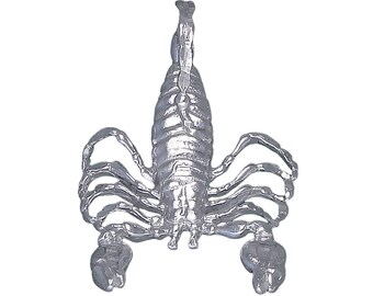 Sterling Silver Scorpion Charm Pendant Necklace 1.1 Inches 2.7 Grams with Diamond Cut Finish and 24 Inch Figaro Chain