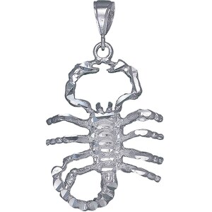 Sterling Silver Scorpion Charm Pendant Necklace 2.4 Inches 10 Grams with Diamond Cut Finish and 24 Inch Figaro Chain