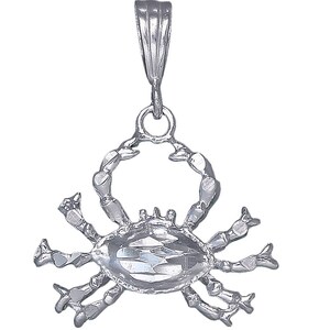 Sterling Silver Crab Charm Pendant Necklace 1.3 Inches 3.8 Grams with Diamond Cut Finish and 24 Inch Figaro Chain