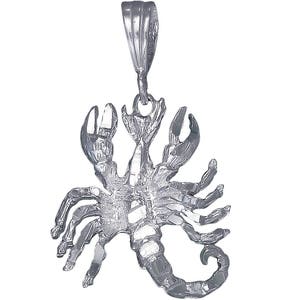 Sterling Silver Scorpion Charm Pendant Necklace 1.4 Inches 3.8 Grams with Diamond Cut Finish and 24 Inch Figaro Chain