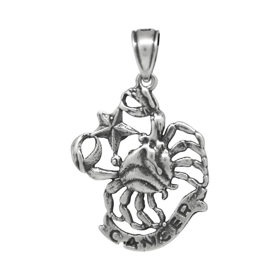 Fische Sternzeichen 925 Sterlingsilber 12mm Kettenanhänger
