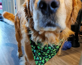 Holiday Wear for Pets. Bandanas that fit over the collar