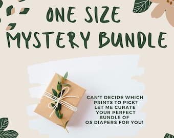 Mystery Set of 6 Cloth Diapers: One Size OS AI2 Diaper Cover