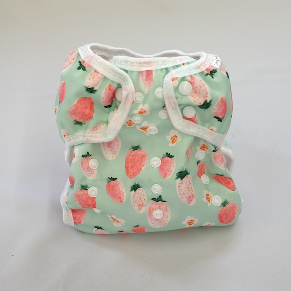 One Size Mint and Strawberry cloth diaper for prefolds or inserts, OS Diaper cover, AI2 Diaper,