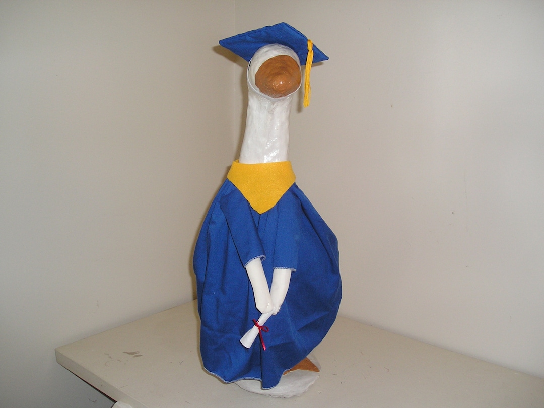 Best Dressed Goose Geese Clothes Outfit 2527 LARGE Etsy