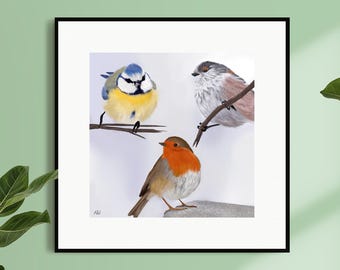 Bird Art Print Square 4x4 / 8x8 Robin, Blue Tit, Chiffchaff
