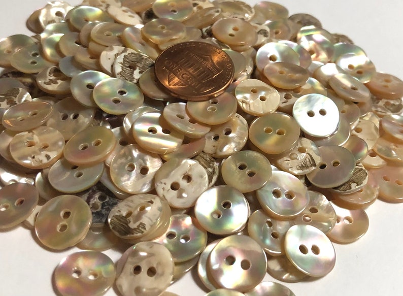 Awabi Shell Button 8 Pcs Only! Set of 8 Slightly Curved Iridescent Beige Multi-color Awabi ...