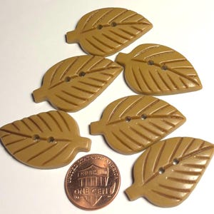 May include: Five tan leaf-shaped buttons with two holes each, arranged around a copper-colored United States one-cent coin for scale. Each button features a central vein and smaller lateral veins embossed on the surface, with a small stem.
