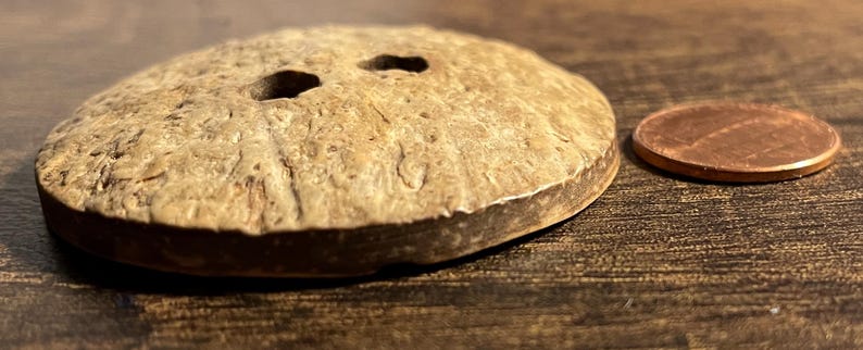ONE Large Thick Concave Front Beige & Brown Natural Coconut Shell 2 ...