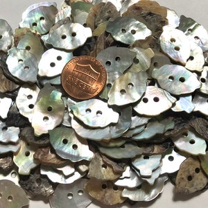 May include: A large pile of iridescent white shell buttons with two holes each. The buttons are shaped like a leaf and have a slightly rough texture. A US penny is included for scale.