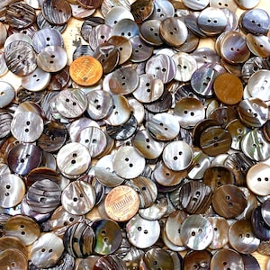 May include: A large collection of brown and iridescent mother of pearl buttons with two holes each. The buttons are various shades of brown and have a shiny, pearlescent finish.