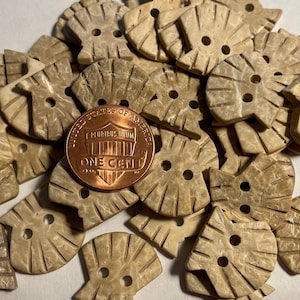 6 Pc Only! Set of 6 Carved Coconut Shell Natural 2-hole Sew-through Buttons Clam Shell 19mm 3/4&quot; 13380