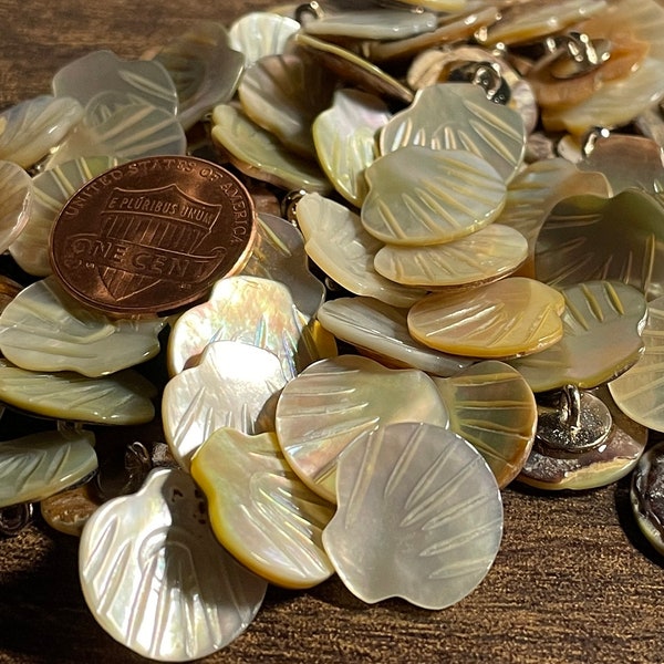 6 Pc Only! Vintage Iridescent Abalone Mother of Pearl MOP Natural Shell Clam Shell Shaped Shank Buttons 15mm Almost 5/8" 12854