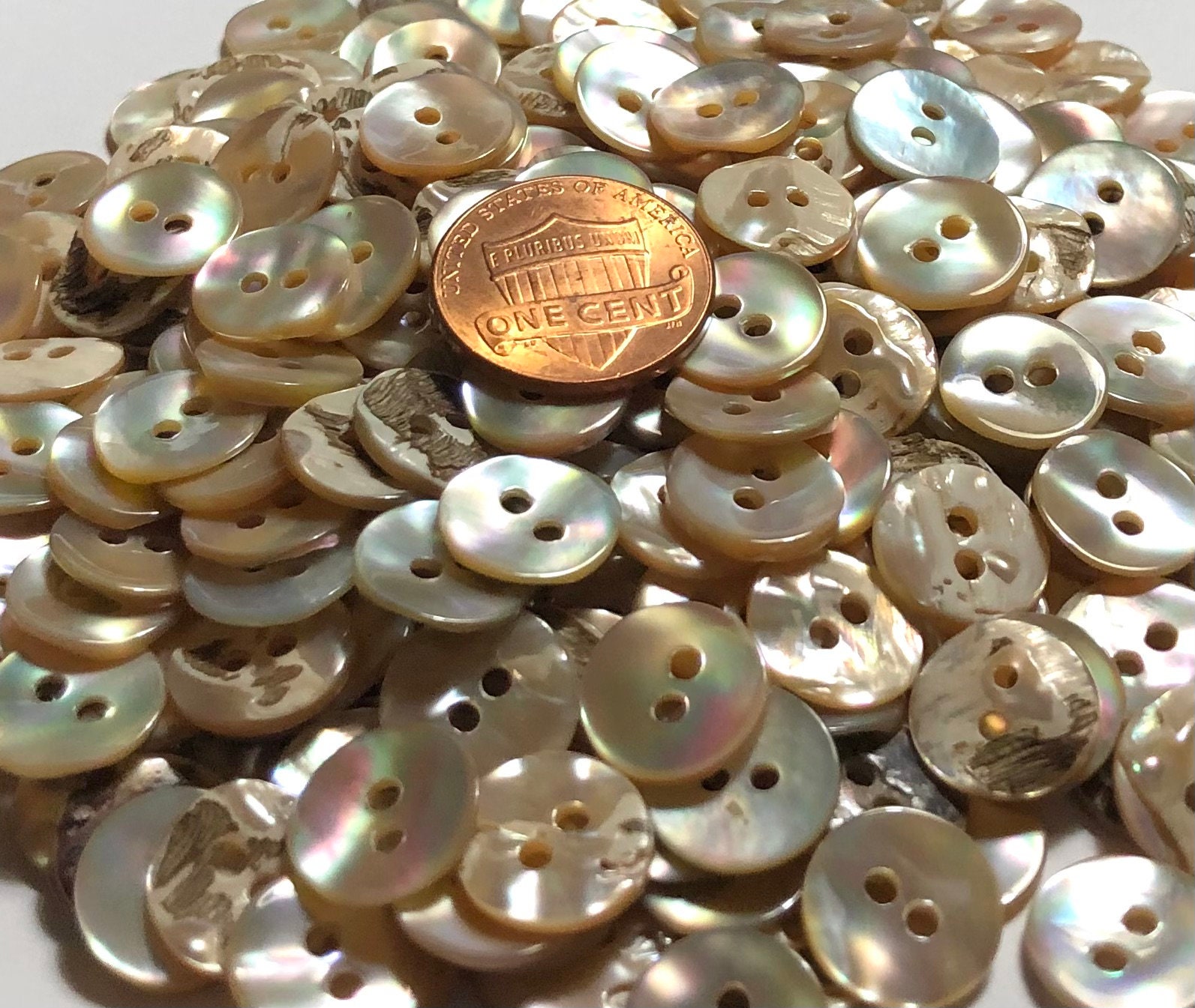 Awabi Shell Button 8 Pcs Only! Set of 8 Slightly Curved Iridescent Beige Multi-color Awabi ...