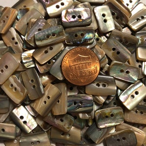 May include: A pile of iridescent brown shell buttons with two holes each. The buttons are rectangular and have a slightly irregular shape. A US penny is included for scale.