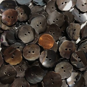 May include: A pile of dark brown shell buttons with two holes each. The buttons are shaped like a flower with scalloped edges.
